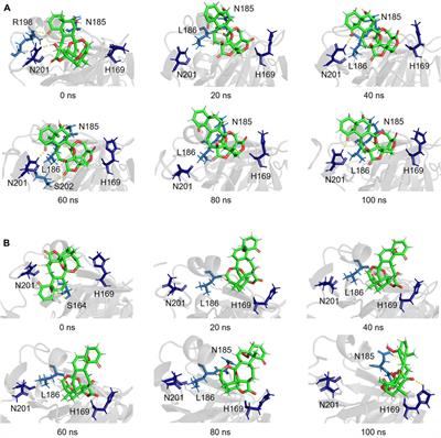 Physalin H, physalin B, and isophysalin B suppress the quorum-sensing function of Staphylococcus aureus by binding to AgrA